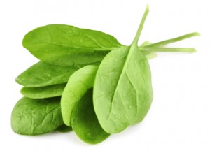 green leaves of spinach