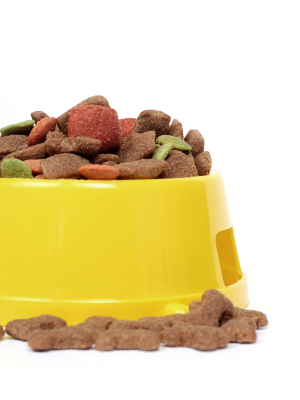 Learn some very easy ways to save money on dog food or cat food.