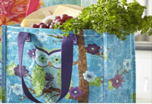 Pier One Imports Free Tote