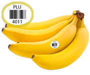 Bananas - Saving Star