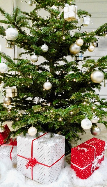 Real Christmas trees require a certain amount of maintenance and care in order to keep them moist.  Here are some tips to help you care for your tree.